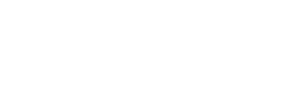 delhi