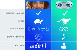 Chart showing differences between human Brains and Machine Learning bots