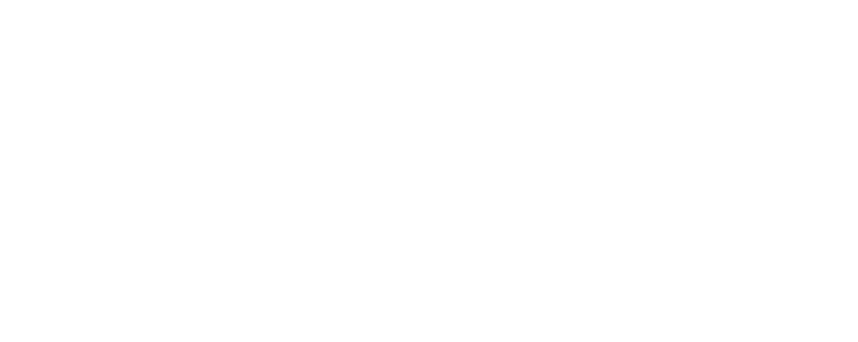 accelya carousel