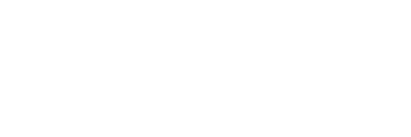 INE_logo-1