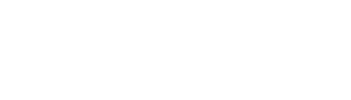delhi