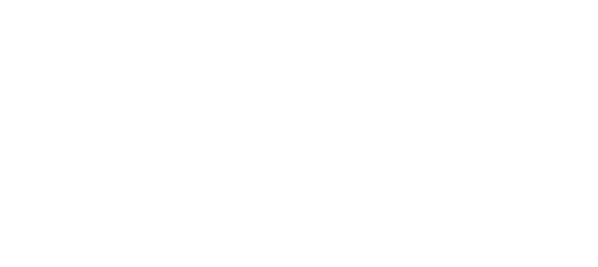 chewy carousel